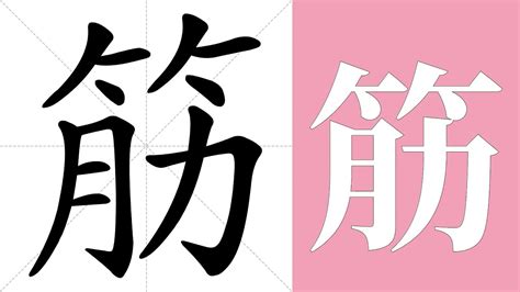 筋 英文|筋 meaning